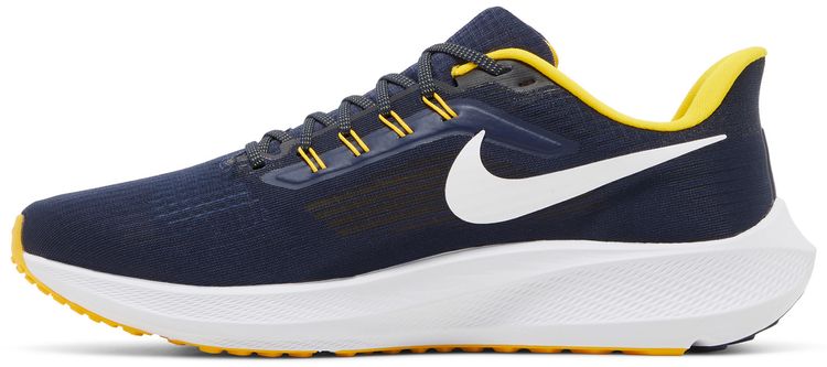 Air Zoom Pegasus 39 Michigan
