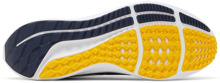 Air Zoom Pegasus 39 Michigan