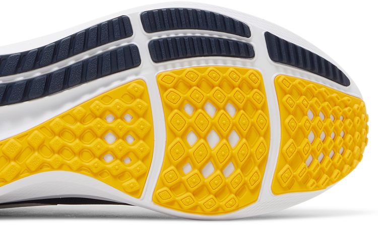Air Zoom Pegasus 39 Michigan
