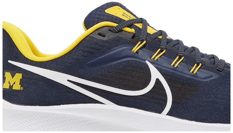Air Zoom Pegasus 39 Michigan