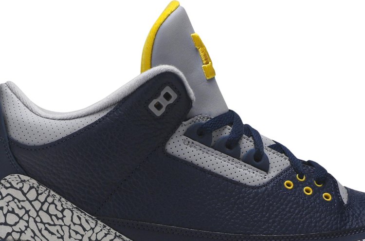 Air Jordan 3 Retro Michigan Wolverines PE