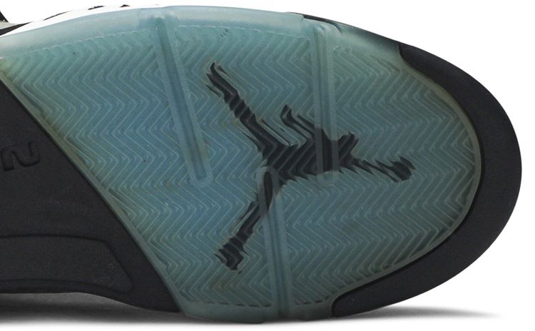 Air Jordan 5 Retro LS UNC