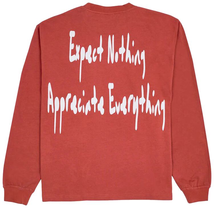 Pleasures Hated Long Sleeve Brick