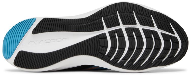Nike Zoom Winflo 7 Black Laser Blue Sample