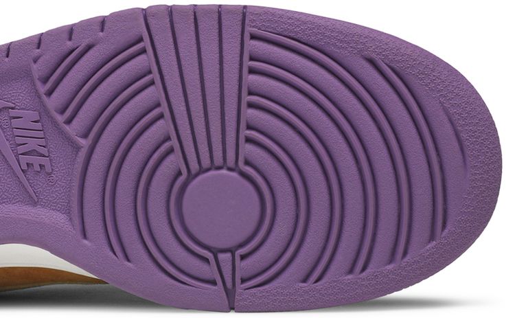 Dunk Low Pro B Viotech
