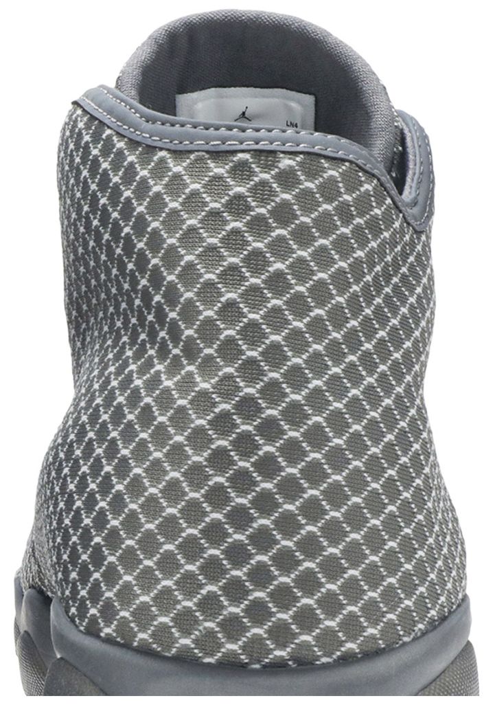 Air Jordan Horizon Wolf Grey