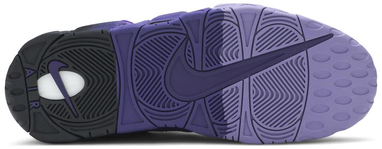 Nike Air More Money Court Purple