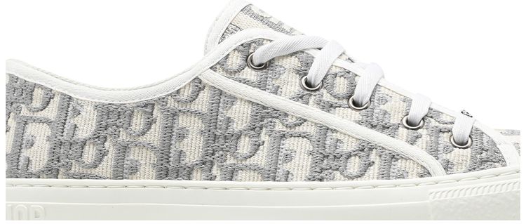 Dior Wmns WalkNDior Embroidered Canvas Low Grey
