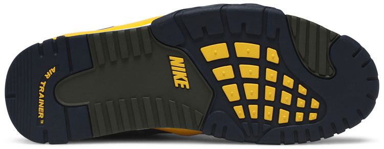 Air Trainer 3 Retro Viotech 2020