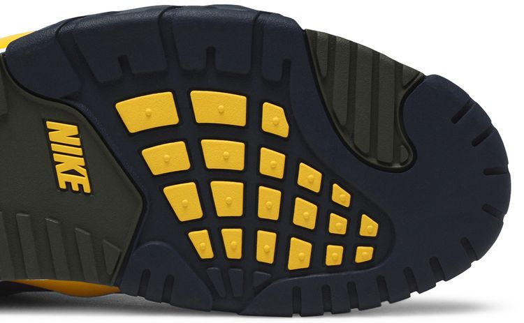 Air Trainer 3 Retro Viotech 2020