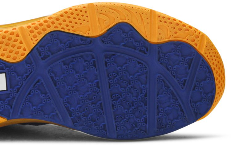 Nike LeBron 9 Low Entourage