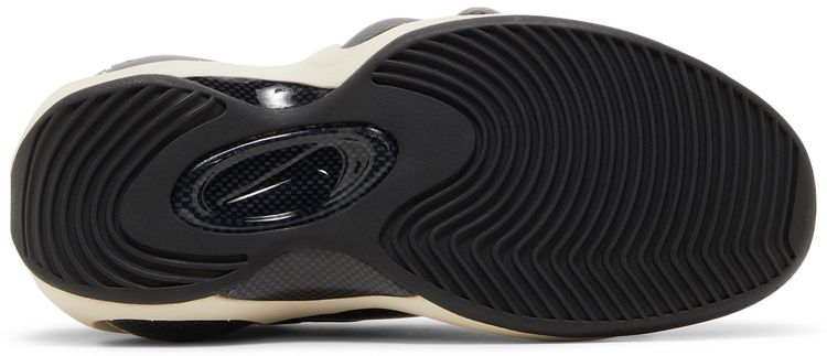 Nike Air Zoom Flight 95 Hoops