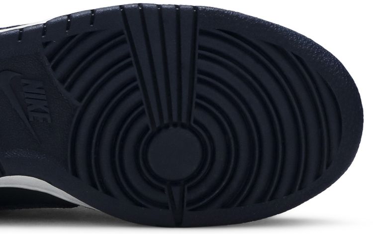 Nike Dunk Low GS Binary Blue