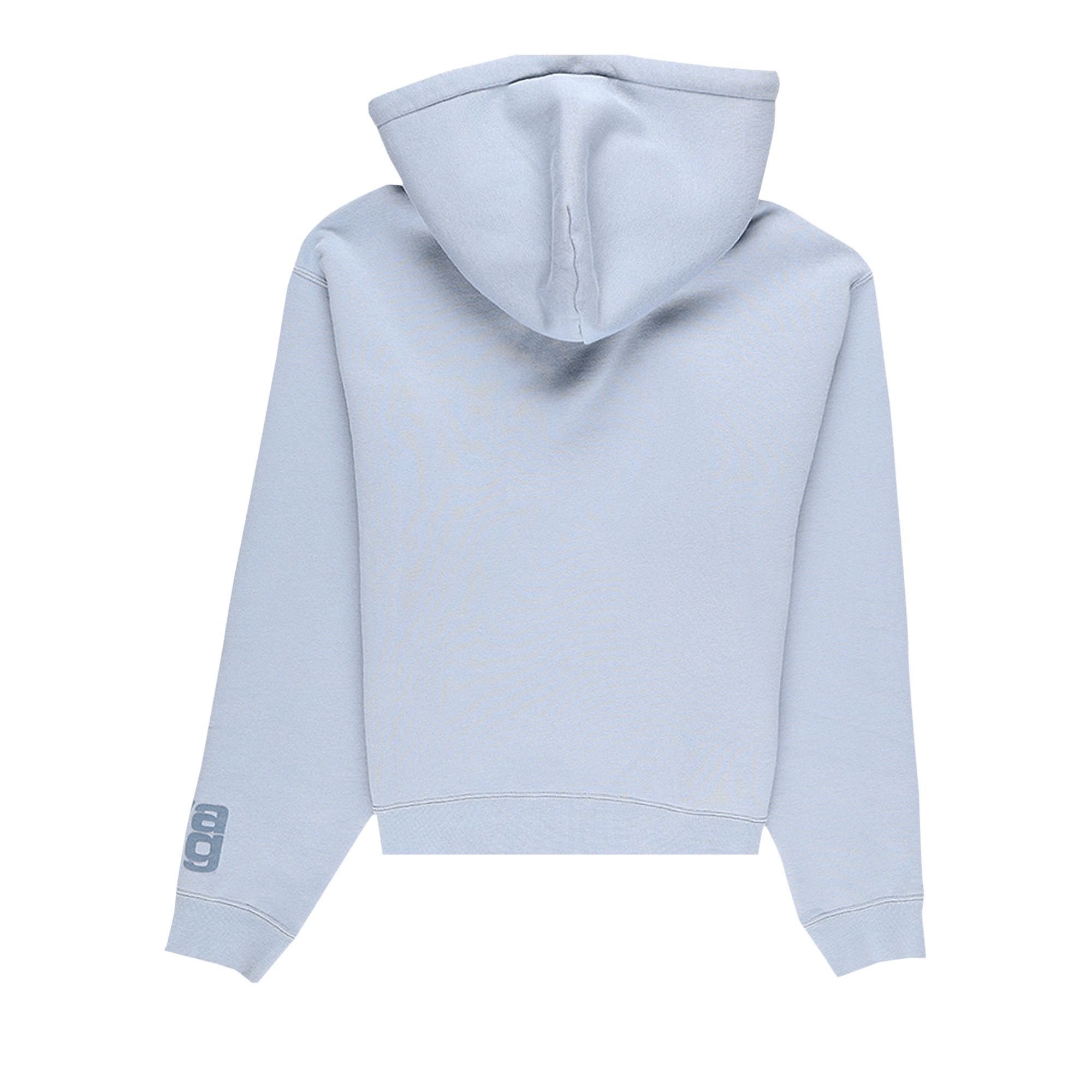 Alexander wang foundation terry hoodie new arrivals
