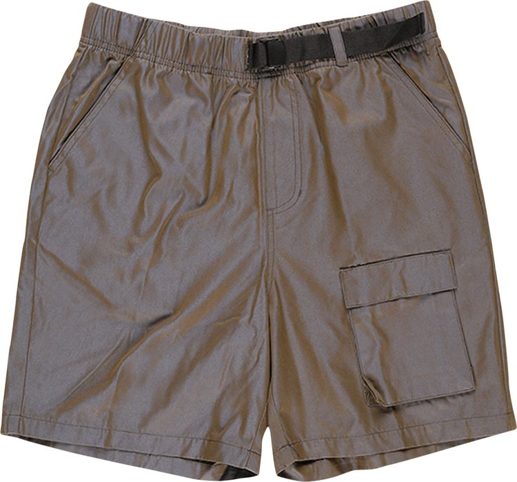 Stussy Iridescent Short Grey