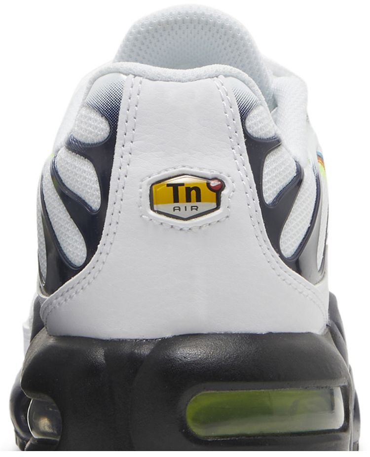 Nike Air Max Plus GS Layered Swoosh