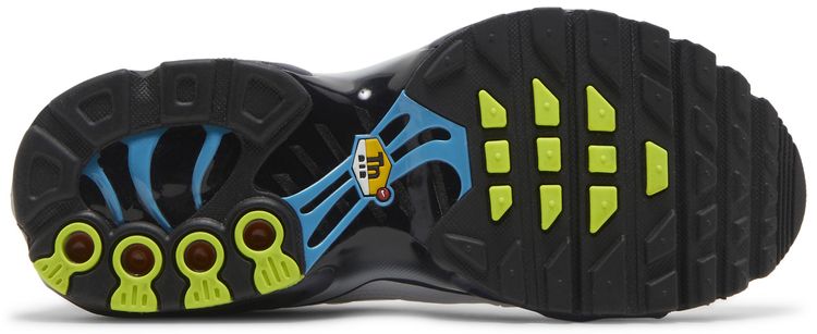 Nike Air Max Plus GS Layered Swoosh