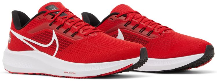 Nike Air Zoom Pegasus 39 Ohio State