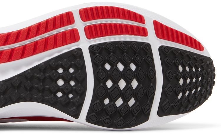 Nike Air Zoom Pegasus 39 Ohio State