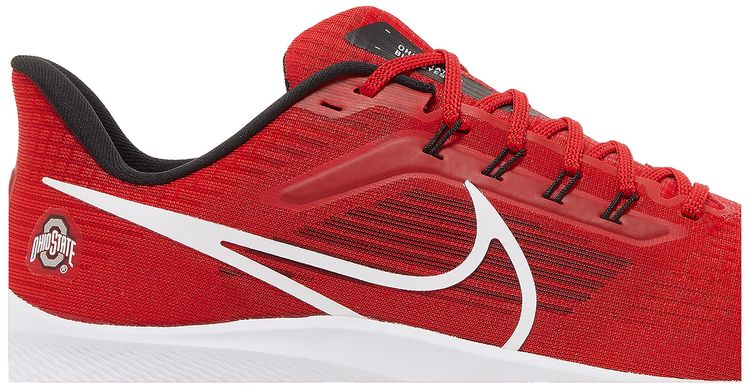 Nike Air Zoom Pegasus 39 Ohio State