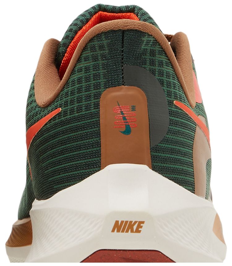 Hola Lou x Nike Air Zoom Pegasus 39 AIR