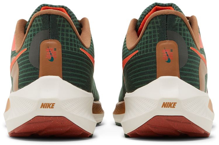 Hola Lou x Nike Air Zoom Pegasus 39 AIR