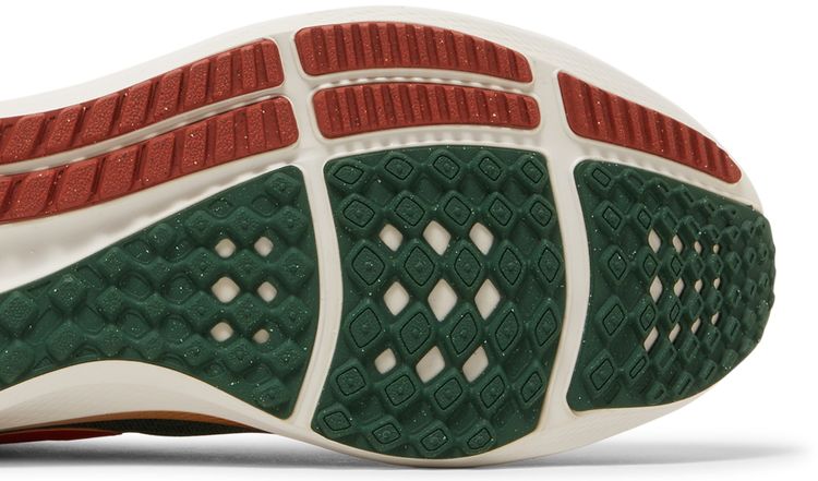 Hola Lou x Nike Air Zoom Pegasus 39 AIR