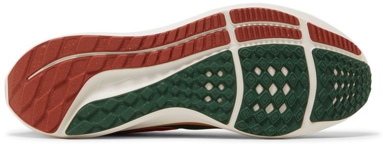 Hola Lou x Nike Air Zoom Pegasus 39 AIR