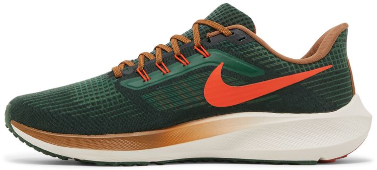 Hola Lou x Nike Air Zoom Pegasus 39 AIR