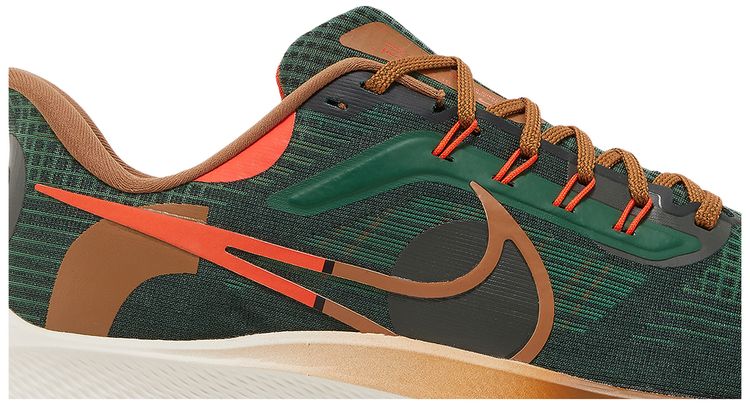 Hola Lou x Nike Air Zoom Pegasus 39 AIR