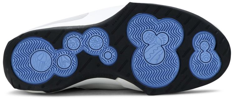 Air Jordan 20 OG GS West Coast