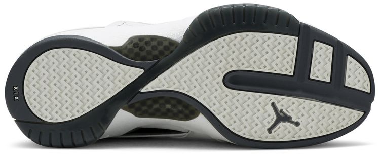 Air Jordan 19 OG Flint 2004