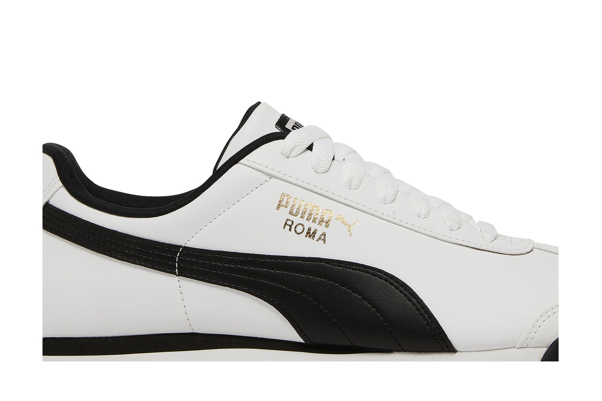 Buy Roma Basic 353572 04 GOAT UK
