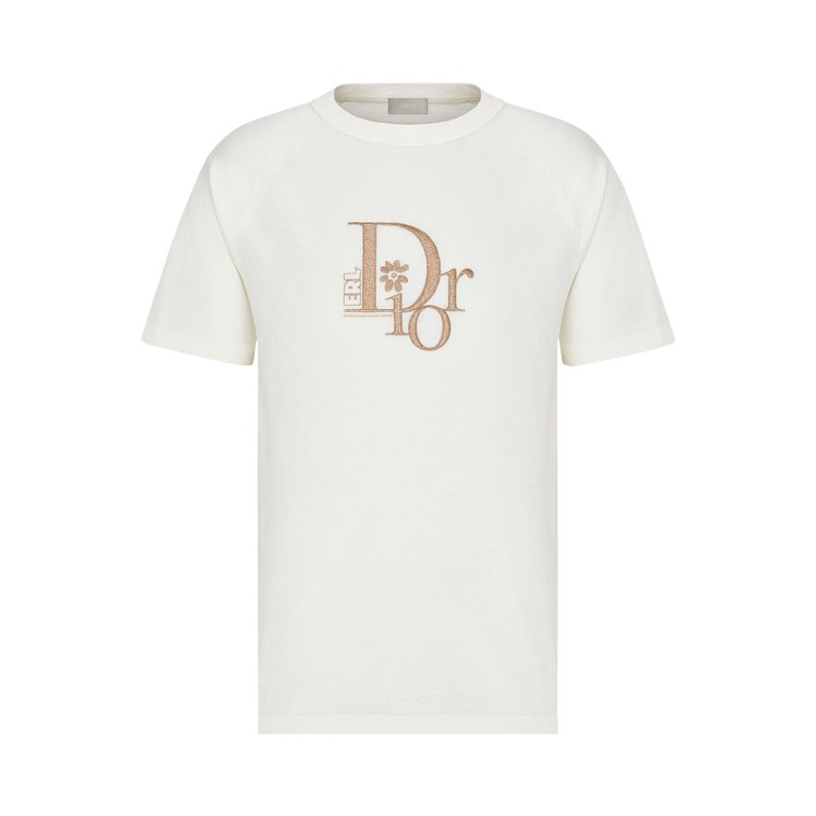 Buy Dior x ERL Relaxed Fit T-Shirt 'White' - 313J647A0817 C081