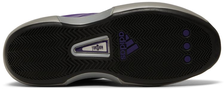 Adidas Crazy 1 Regal Purple