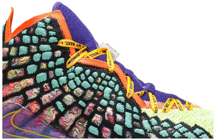 LeBron 17 What The