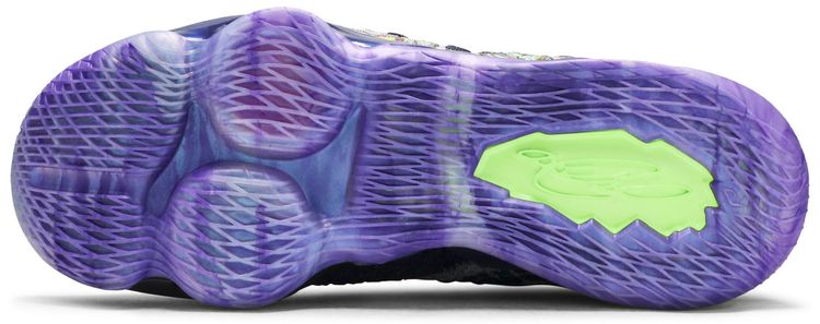 LeBron 17 What The