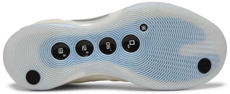 Li Ning Way of Wade 10 305