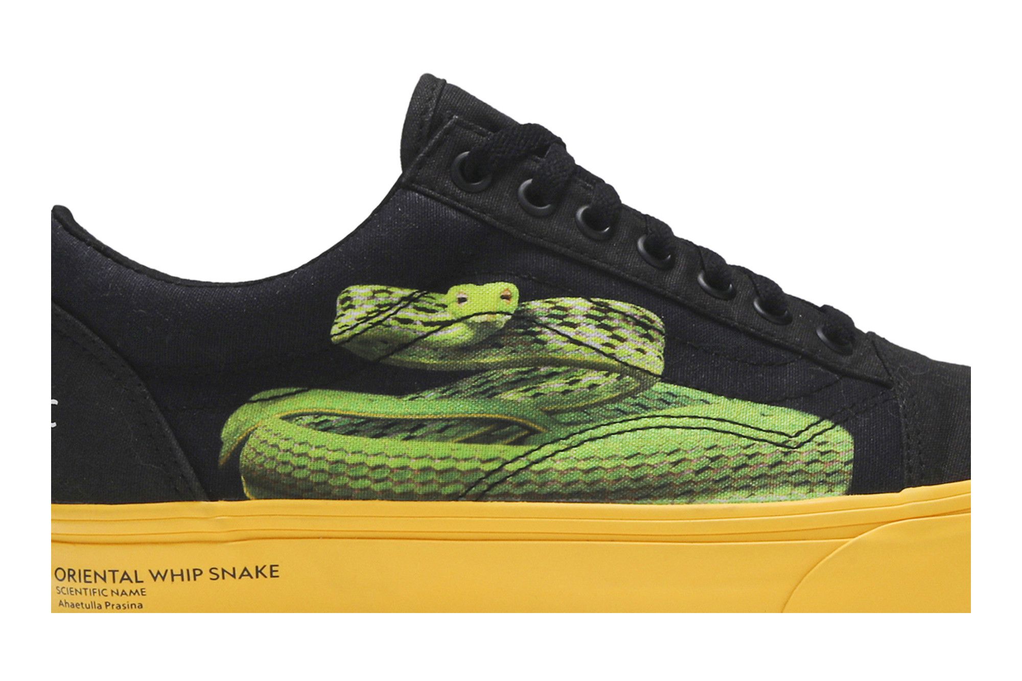 Buy National Geographic x Old Skool 'Photo Ark