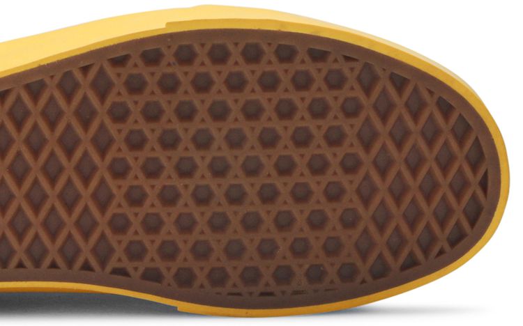 Vans National Geographic x Old Skool Photo Ark