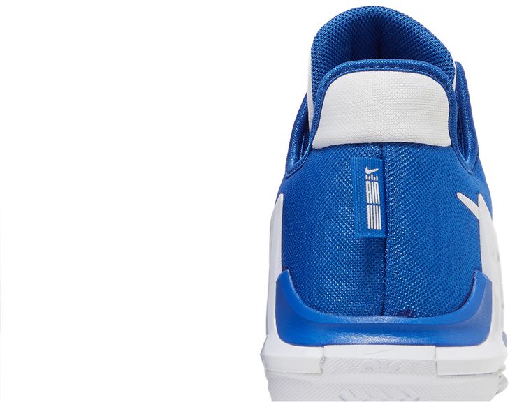 Nike LeBron Witness 6 TB Game Royal
