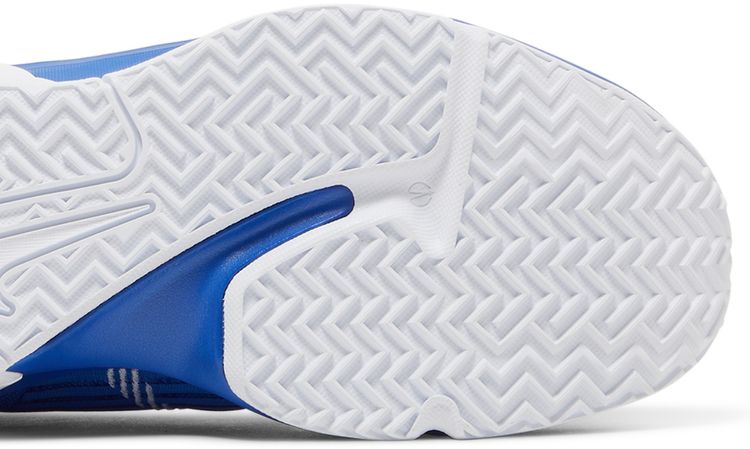 Nike LeBron Witness 6 TB Game Royal