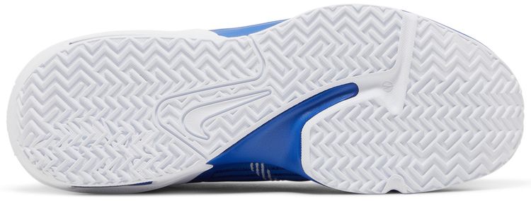 Nike LeBron Witness 6 TB Game Royal