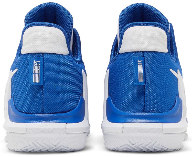 Nike LeBron Witness 6 TB Game Royal