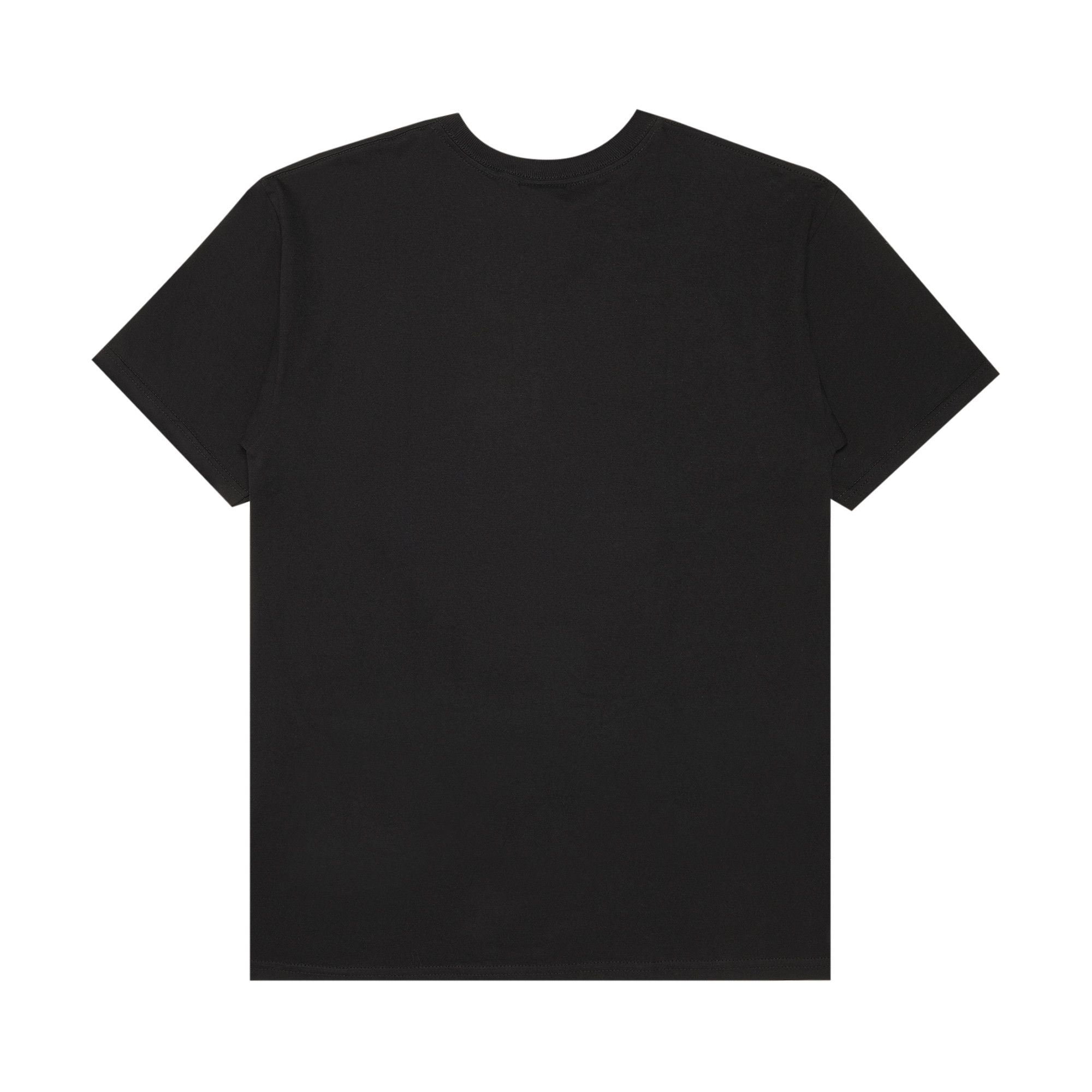Buy Stussy World Tour Flower Block Tee 'Black' - 1903328