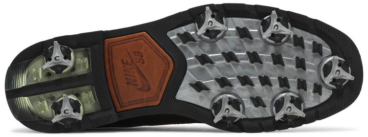 Nike Dunk SB Golf Low Dark Flint Harvest