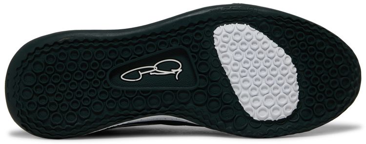 Nike PG 3 TB Pro Green