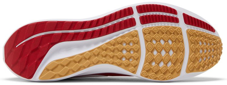 NFL x Nike Air Zoom Pegasus 39 San Francisco 49ers