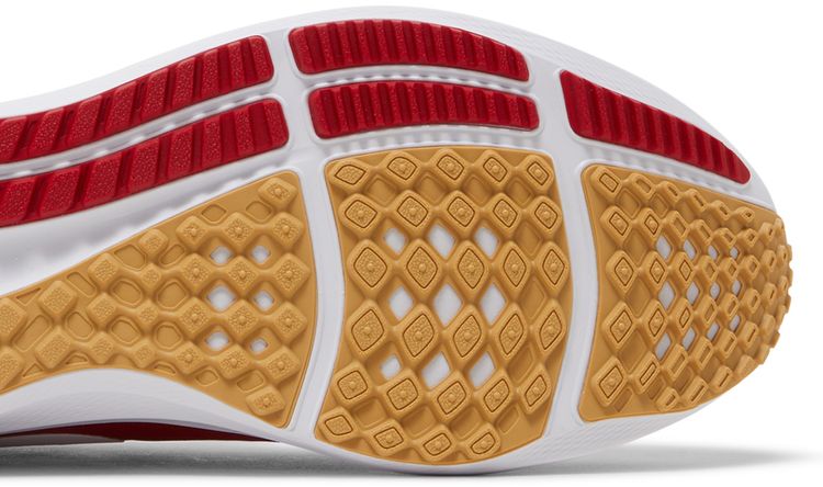 NFL x Nike Air Zoom Pegasus 39 San Francisco 49ers