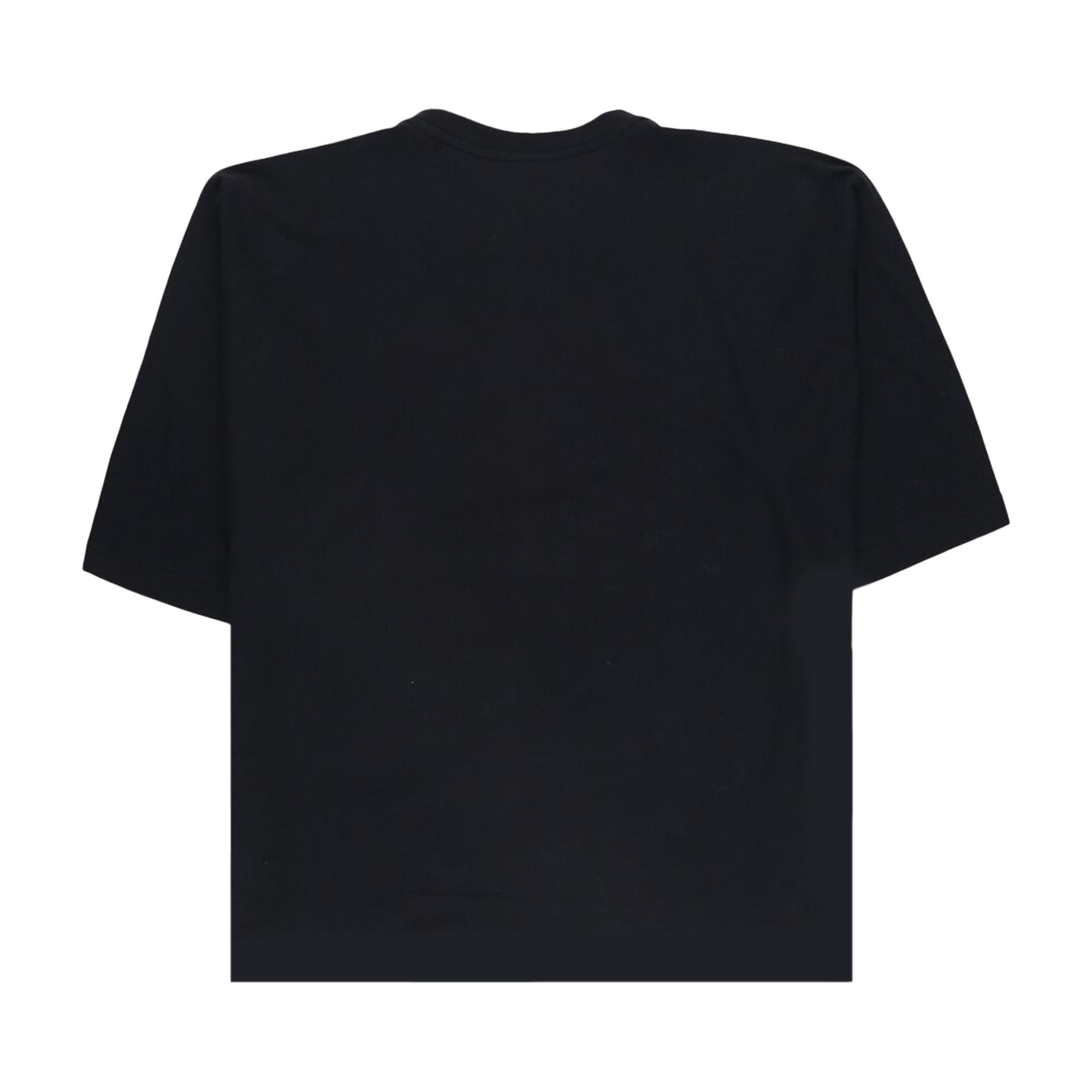 Tシャツ・カットソー HOMME PLISSE' ISSEY MIYAKE 'Basics' T-shirt Black Release T Basic in Black – SVRN